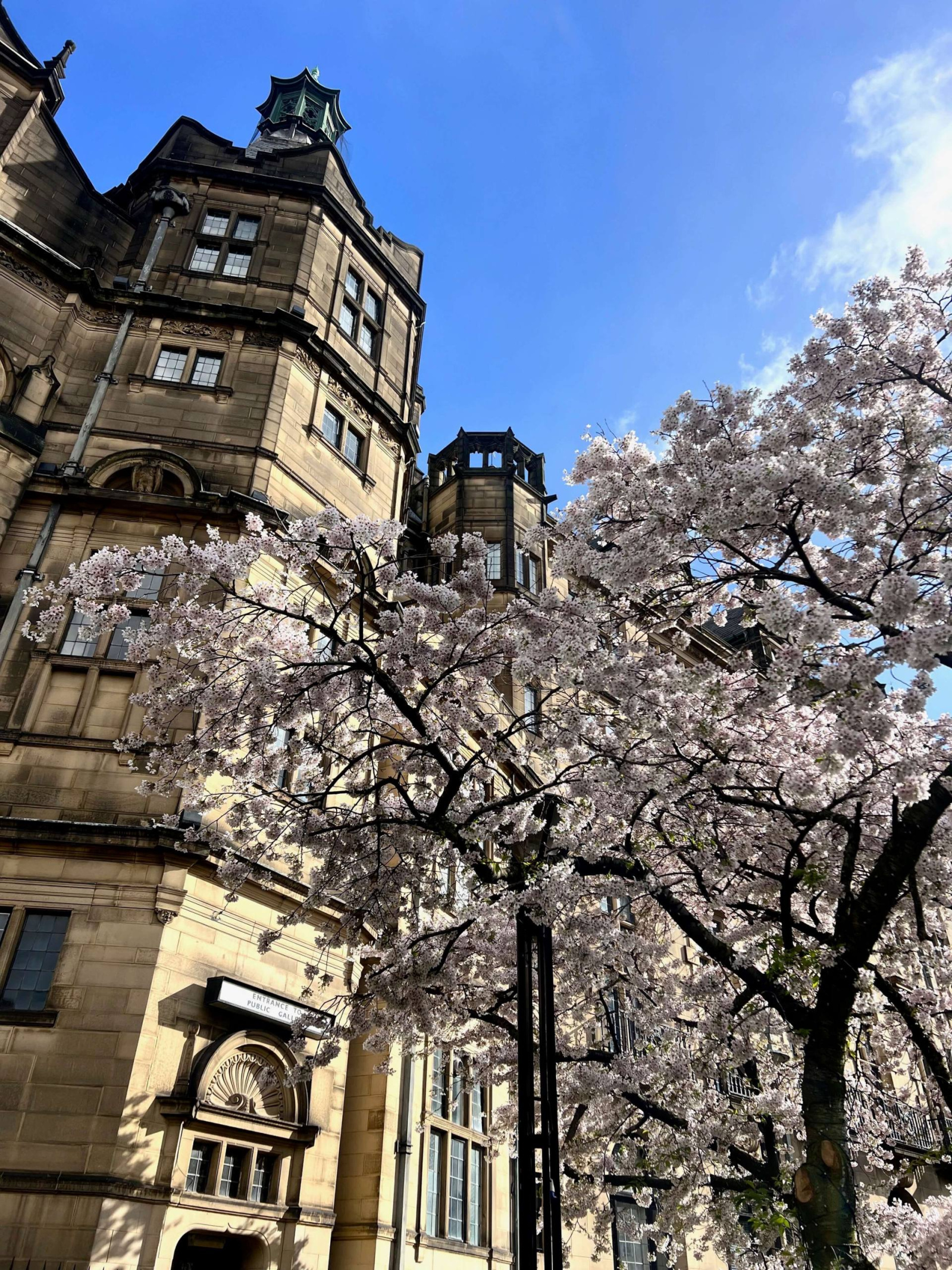 Sheffield travel guide - City Hall