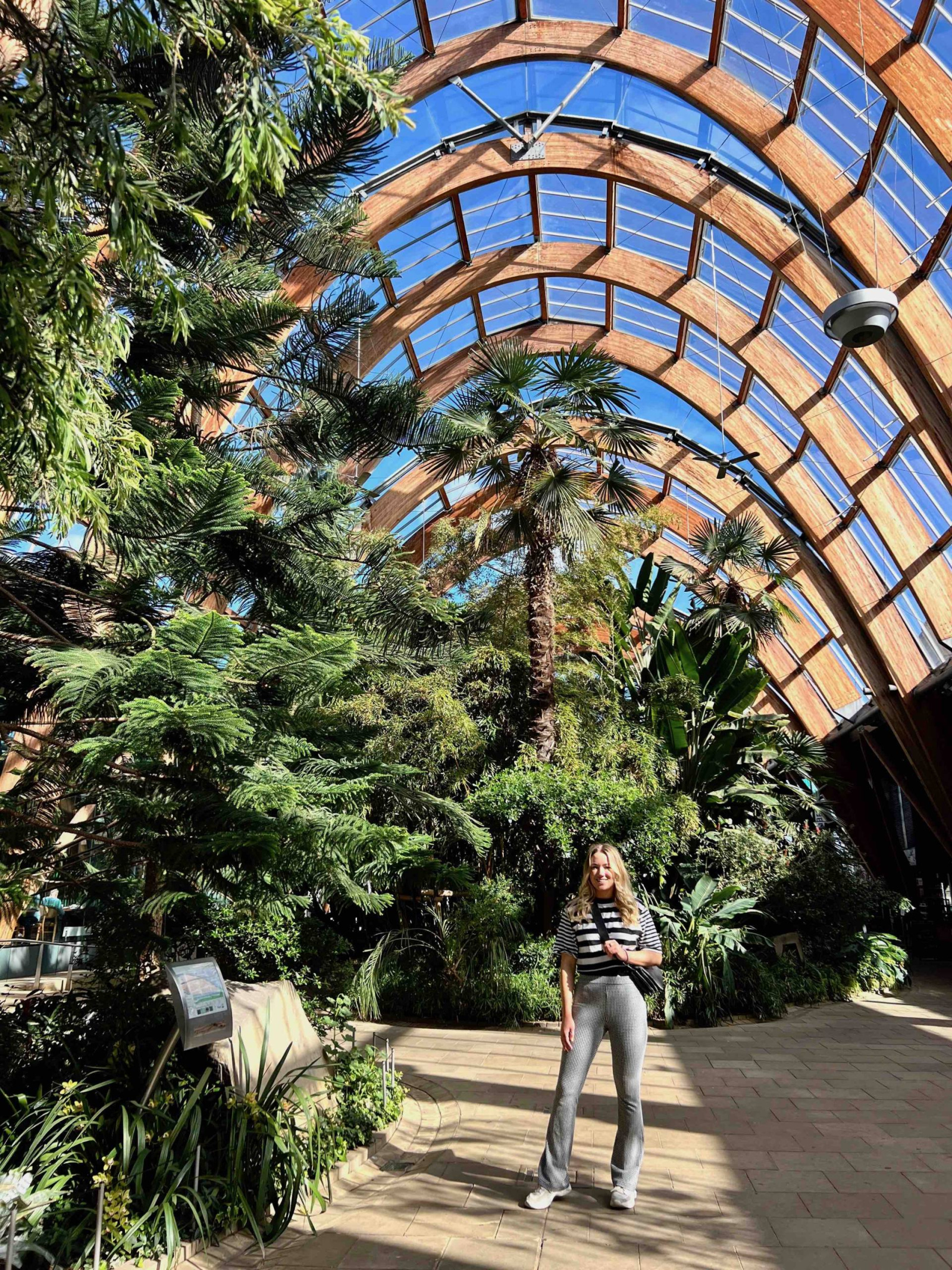 Travelista Winter Gardens Sheffield travel guide 