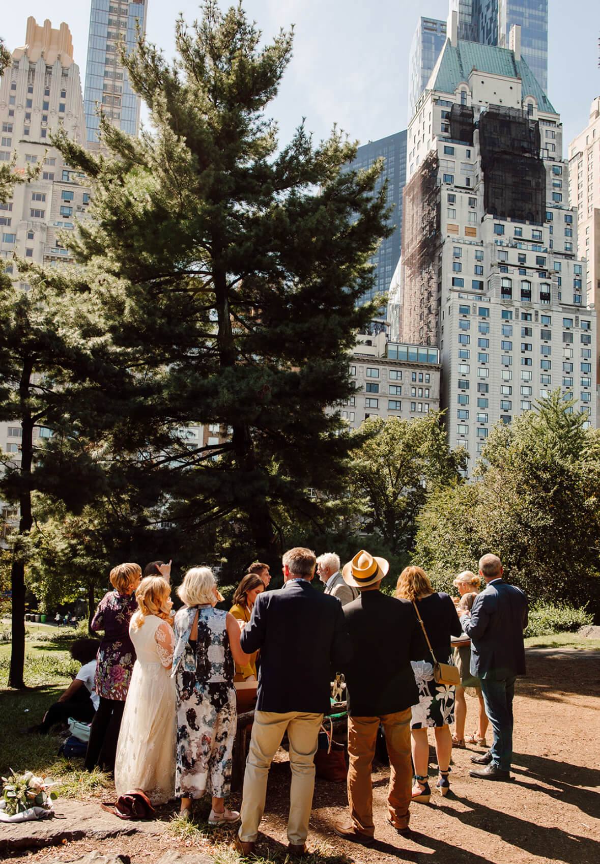 The wedding party in Central Park - wedding photos from a New York Wedding